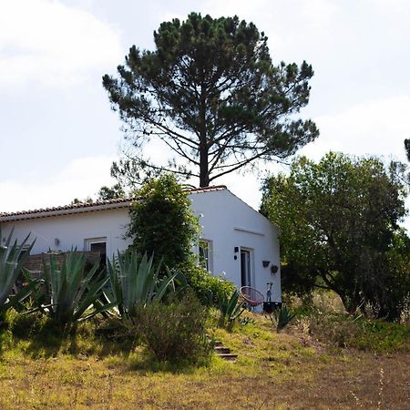 Monte Da Urze Aljezur - Agroturismo Buitenkant foto