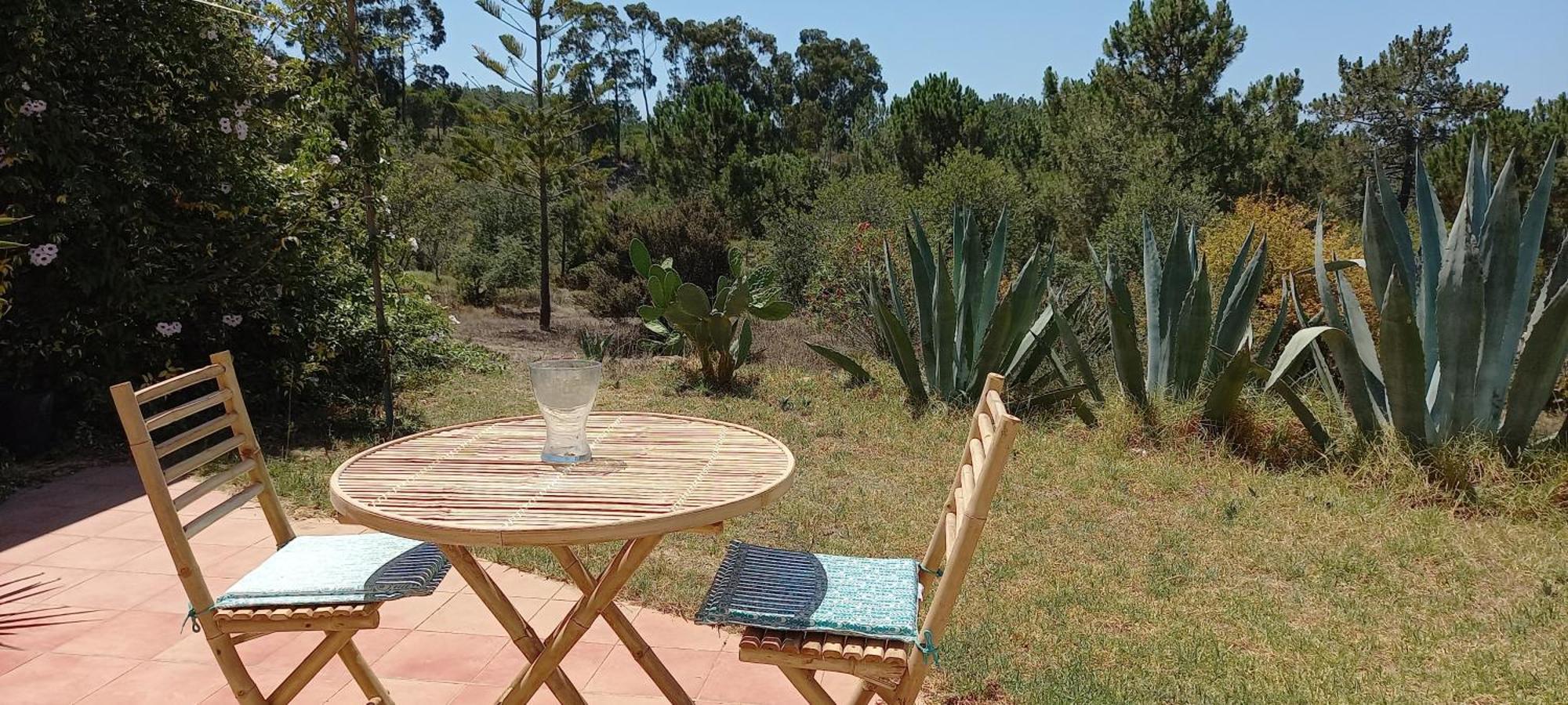 Monte Da Urze Aljezur - Agroturismo Buitenkant foto