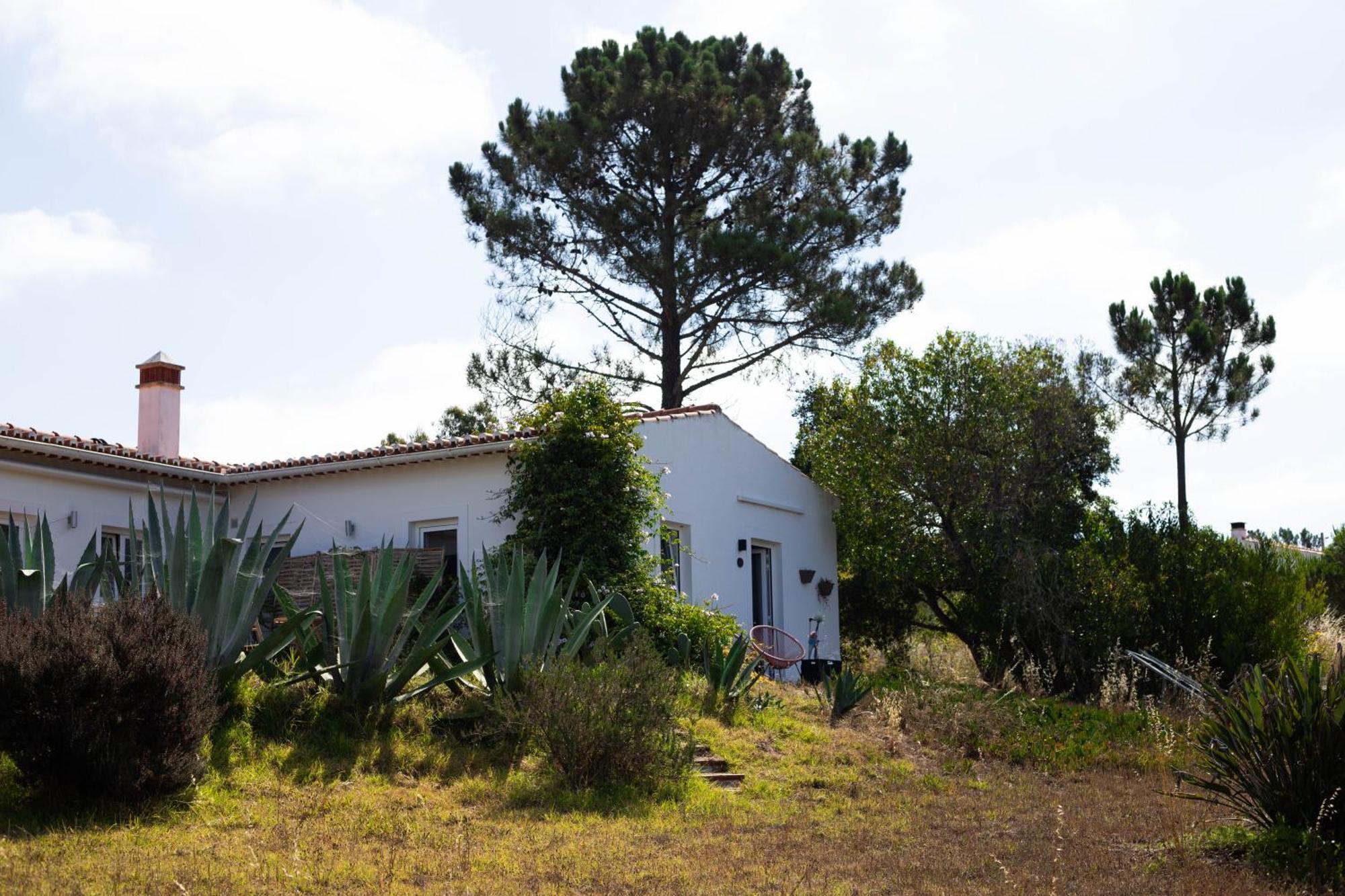 Monte Da Urze Aljezur - Agroturismo Buitenkant foto